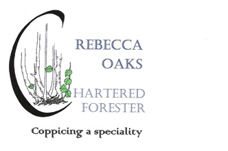 Rebecca Oaks logo